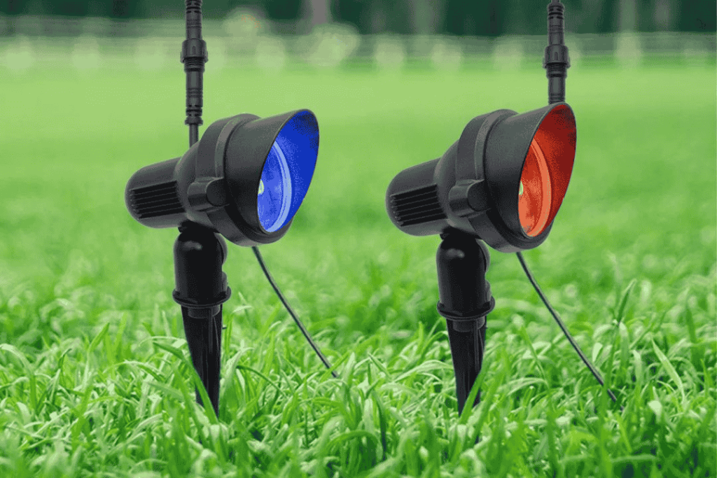 spot lights in grass red and blue